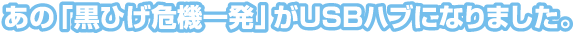 ���́u���Ђ���@�ꔯ�v��USB�n�u�ɂȂ�܂����B